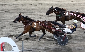 Ippica Ippodromo Cesena Trotto: il resoconto delle corse di venerdì 5 agosto