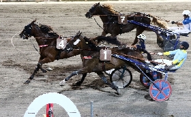 Ippica ippodromo Cesena trotto: resoconto delle corse di venerdì 26 agosto 2022