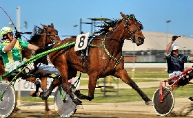 Ippica sabato a Treviso cavalli in pista per il Gran Premio su BetFlag