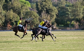 Punta Ala Polo Cup