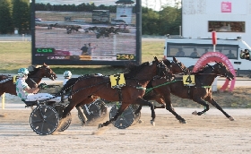 ALL’IPPODROMO SNAI LA MAURA RIUNIONE DEL MARTEDÌ CON IN PRIMO PIANO IL TROFEO DEDICATO A HANS FROMMING