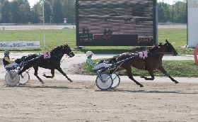 Ippica all'ippodromo Snai La Maura il Trofeo Mario Manfredi se lo aggiudica Urla del Ronco con una bella finale