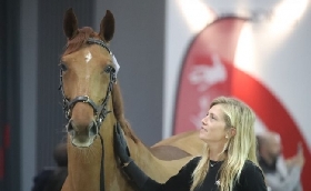 equitazione Fieracavalli Jumping Verona Coppa del Mondo