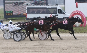 Ippica: nella domenica di trotto all'ippodromo Snai La Maura protagonista Brillant Ferm che si impone nella maratonina per il premio Walner