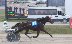 Domenica ippodromo Snai La Maura Premio Aligero