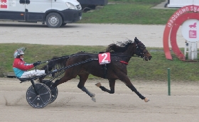 Ippica Ippodromo Snai La Maura Premio Glow Jesolo