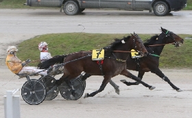 Ippica Ippodromo Snai La Maura Bullo Gec Premio Glow Jesolo