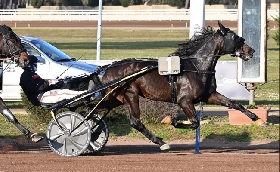 Ippica Gocciadoro Simioli trotto Capannelle