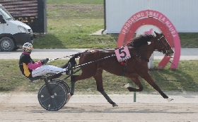 Ippica: all'ippodromo Snai La Maura ancora Bambin a stupire nel premio Orient Horse