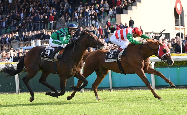 Pasquetta a Capannelle: grande spettacolo in pista con il Signorino il Doria e il Saccaroa