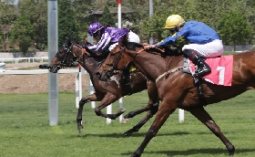 ALL’IPPODROMO SNAI SAN SIRO DI MILANO MERCOLEDÌ DA ‘CHAMPIONS’ CON PROTAGONISTI I CAVALLI DI 2 ANNI ED ALTRE PROVE DI QUALITÀ. AL VIA DALLE ORE 13:55