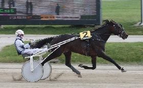 IN RICORDO DEL ‘PROFESSORE’ WILLIAN CASOLI IL MARTEDÌ DI TROTTO ALL’IPPODROMO SNAI LA MAURA DI MILANO. IN PISTA DALLE ORE 14:20