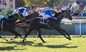 Ippica MST Derby Italiano galoppo live oltre 20 Nazioni prima volta storia