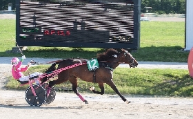 Ippica Ippodromo Snai La Maura Milano maggio Breila di Casei 9 giugno Gran Premi Nazionale Nazionale Filly 