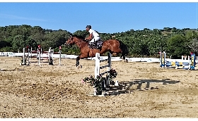 Salto ostacoli: all'Ippopark di Golfo Aranci il Gran Premio Agris Fise Sardegna è del binomio campione regionale Gianleonardo Murruzzu su Taissa Sarda