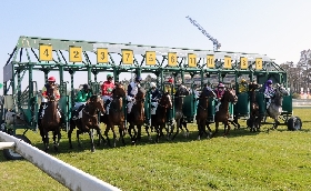 MERCOLEDÌ SU EQUtv PROTAGONISTI I PUROSANGUE ARABI PER IL 'PREMIO MILANO UAE PRESIDENT CUP ALL'IPPODROMO SNAI SAN SIRO 