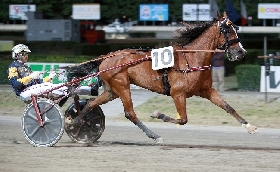 Ippica Ippodromo Cesena Trotto presentazione Gran Premio Riccardo Grassi sabato 8 luglio