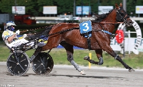 Ippica Ippodromo Cesena Trotto resoconto corse sabato 8 luglio 2023 Gran Premio Riccardo Grassi