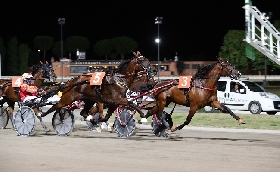 Ippica Ippodromo Cesena Trotto presentazione corse sabato 15 luglio Premio Equos