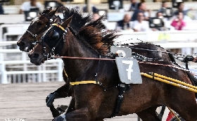 Ippica ippodromo Cesena Trotto: presentazione corse martedì 18 luglio 2023