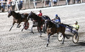 ippodromo cesena trotto: resoconto corse di martedì 25 luglio 2023