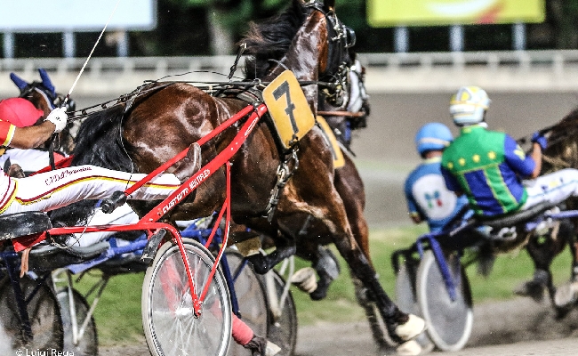 ippodromo cesena trotto: presentazione delle corse di sabato 29 luglio 2023