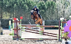 Salto ostacoli Denise Poddighe Matteo Brandinu Giovanni Carboni vincono Gran Premi centro Fieristico San Leonardo