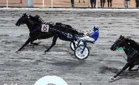 ippodromo cesena trotto: presentazione delle corse di venerdì 4 agosto 2023