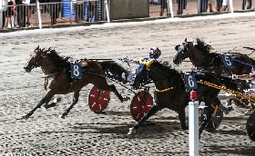 ippodromo cesena trotto: presentazione corse di sabato 12 agosto 2023