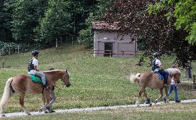 Ippica all’ippodromo Snai Sesana sabato di corse dedicato a ‘Dynamo Camp’