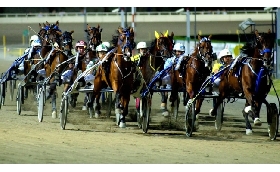 MST LeTrot il Campionato Europeo di Cesena trasmesso in Francia ed in altri 15 paesi nel mondo