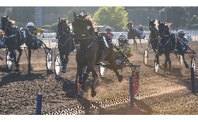 Ippica sabato Capannelle aste trottatori domenica Derby 