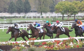 Domenica all'Ippodromo Snai San Siro gli attesi Premio Verziere e il premio Elena e Sergio Cumani. A bordo pista intrattenimento e un noto make up artist