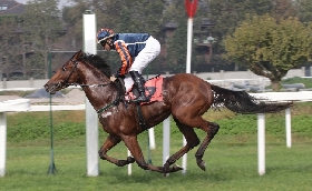 All'Ippodormo Snai San Siro nel mercoledì dedicato ai successi di Falbrav la spunta Parisiamo. Intanto per domenica cresce l'attesa per il GP del Jockey Club e l'ultima in Italia di Frankie Dettori