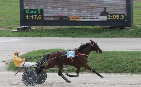 NEL VENERDÌ DI TROTTO ALL’IPPODROMO SNAI LA MAURA CATULLO JET VINCE SOTTO LA PIOGGIA IL PREMIO NAD AL SHEBA MENTRE ELALUNADISSE BIGI FA SUO IL PREMIO AKELA PAL FERM