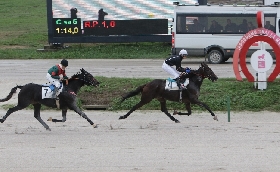 All'Ippodromo Snai La Maura nel martedì dedicato alla scuderia Gnafà doppio Gocciadoro con Falcon Dany Bar e Future As