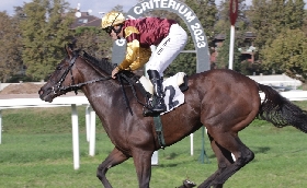 ALL’IPPODROMO SNAI LA MAURA VIVID WISE AS SI CONFERMA CAMPIONE ASSOLUTO VINCENDO IL GRAN PREMIO DELLE NAZIONI PER LA TERZA VOLTA CONSECUTIVA