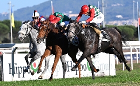 La Gite trionfa nel Lydia Tesio delude Estrosa la cavalla di Allegri A Flag's Up il Premio Roma mentre Westminister Night vince il Ribot