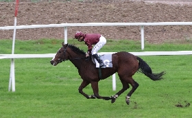 Ippica: all’Ippodromo Snai San Siro la Scuderia Topeeka viene celebrata dalla bella vittoria di Sujaya. Nel Premio Pier Vittoria Zaini spettacolo in pista con il sigillo di Burning Lake