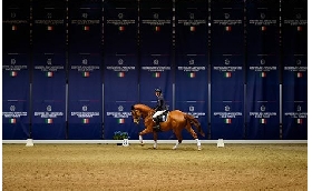 FIERACAVALLI: EQUtv TRIONFA A VERONA CON UNA COPERTURA TELEVISIVA MAI REALIZZATA PRIMA 