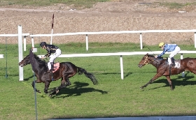 Ippica Ippodromo Snai San Siro mercoledì Excellent Drago maiden maschile Premio Pensierieparole femminile Shady Creek vince Premio Lavinia Fontana