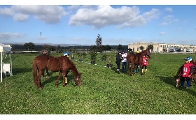 Endurance Pony: le giovanissime amazzoni dominano il campionato regionale vittorie per Cuccuru Cambule Senette e Dettori