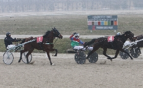 Ippica domenica di trotto all’Ippodromo Snai La Maura Zafira si conferma specialista per il Premio Varenne sfilata vincente di Fashion Grif nel Premio Newstar