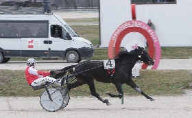 Ippica Ippodromo Snai La Maura venerdì trotto sette corse Premio Scuderia Leonardo Sabato domenica San Siro galoppo