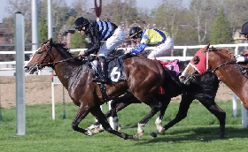 ALL’IPPODROMO SNAI SAN SIRO ACHESO SOTTO I RIFLETTORI DEL PREMIO SAMARCANDA FILM. MINUTO DI SILENZIO PER RICORDARE LUCIANO SALICE