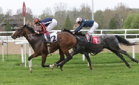 ALL’IPPODROMO SNAI SAN SIRO CALM REEF SI CONFERMA NEL PREMIO MICROBIOTAL HORSE CLOU DELLA DOMENICA IN PARTNERSHIP CON NBF LANES LINEA HORSE