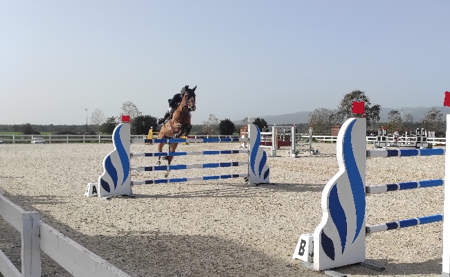 Salto ostacoli: annullata la 3^ Tappa del Trofeo dei Nuraghi per cavalli nati e allevati in Sardegna