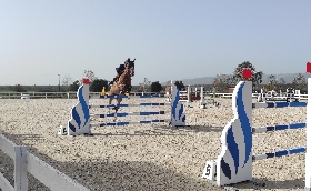 Salto ostacoli: annullata la 3^ Tappa del Trofeo dei Nuraghi per cavalli nati e allevati in Sardegna