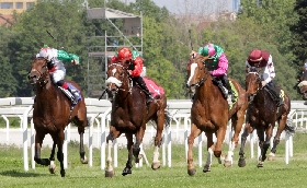 ALL’IPPODROMO SNAI SAN SIRO ECCO IL PROGRAMMA DI CORSE DI DOMENICA 9 GIUGNO CON CLOU LE OAKS D’ITALIA. SETTE PROVE A PARTIRE DALLE ORE 16:05