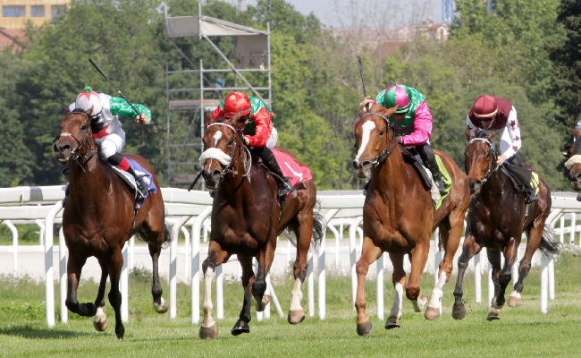 L'Ippodromo Snai San Siro fa il bis anche di venerdì con una nuova giornata di galoppo in cui emergono il Premio Tramuschio e il Premio Boffalora